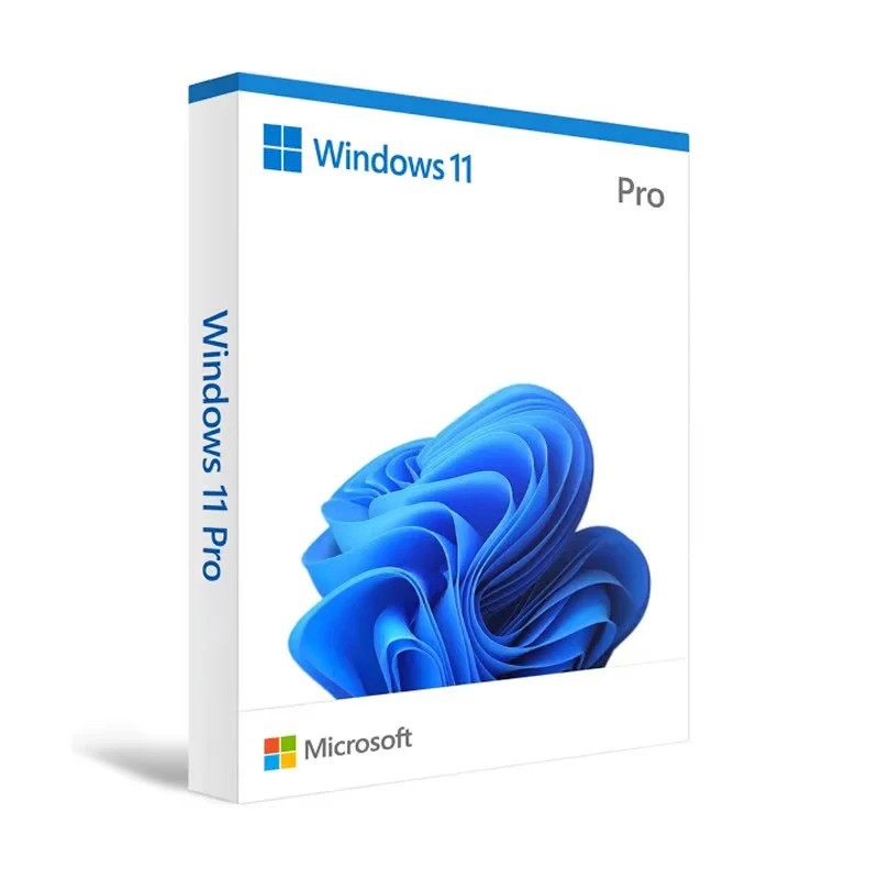 Microsoft Windows 11 Pro Install + MS Office 2021 + Utility Software + Drivers + Backup and Restoration of Files